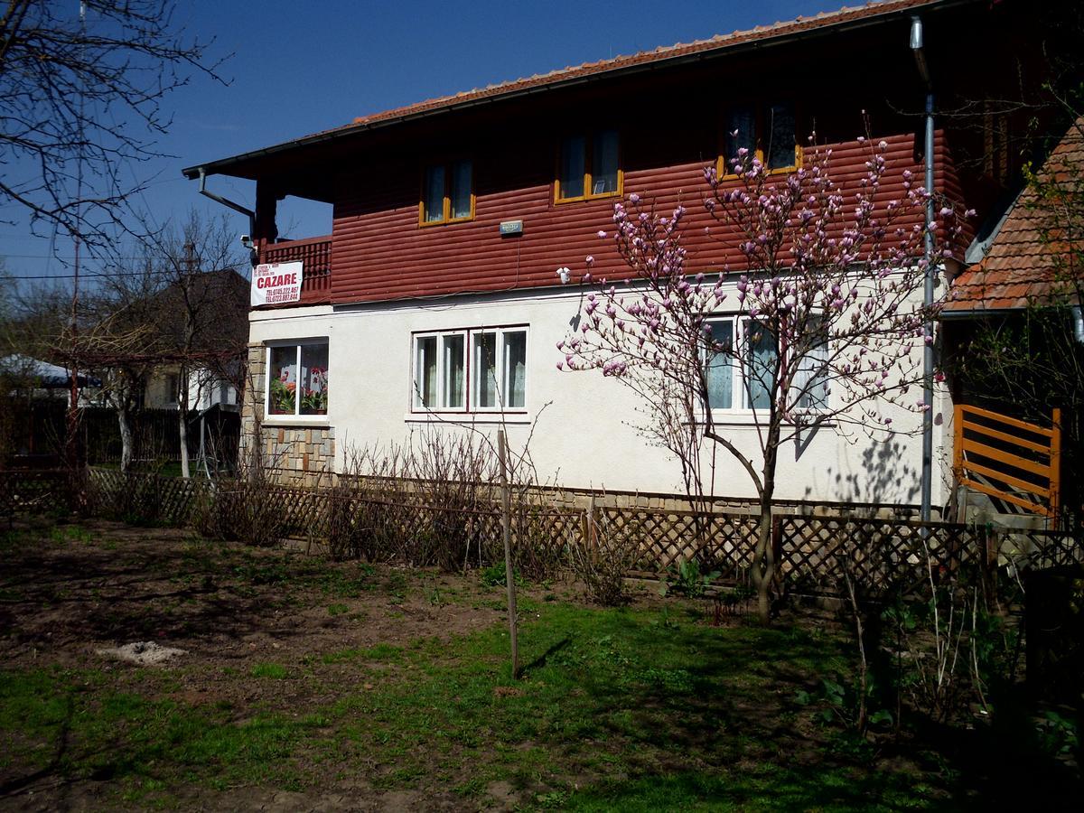 Vila Mihaela Бряза Екстер'єр фото